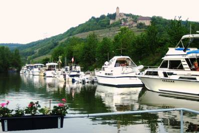 Antuckern 2009